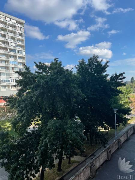 Krásny byt na začiatku Petržalky, Šustekova ulica-B065-92E9CCF62393.jpeg